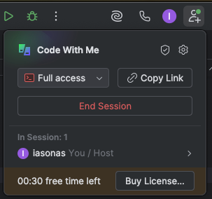 In-call tab for JetBrains Code With Me remote pair programming