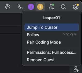 Participant options in JetBrains Code With Me
