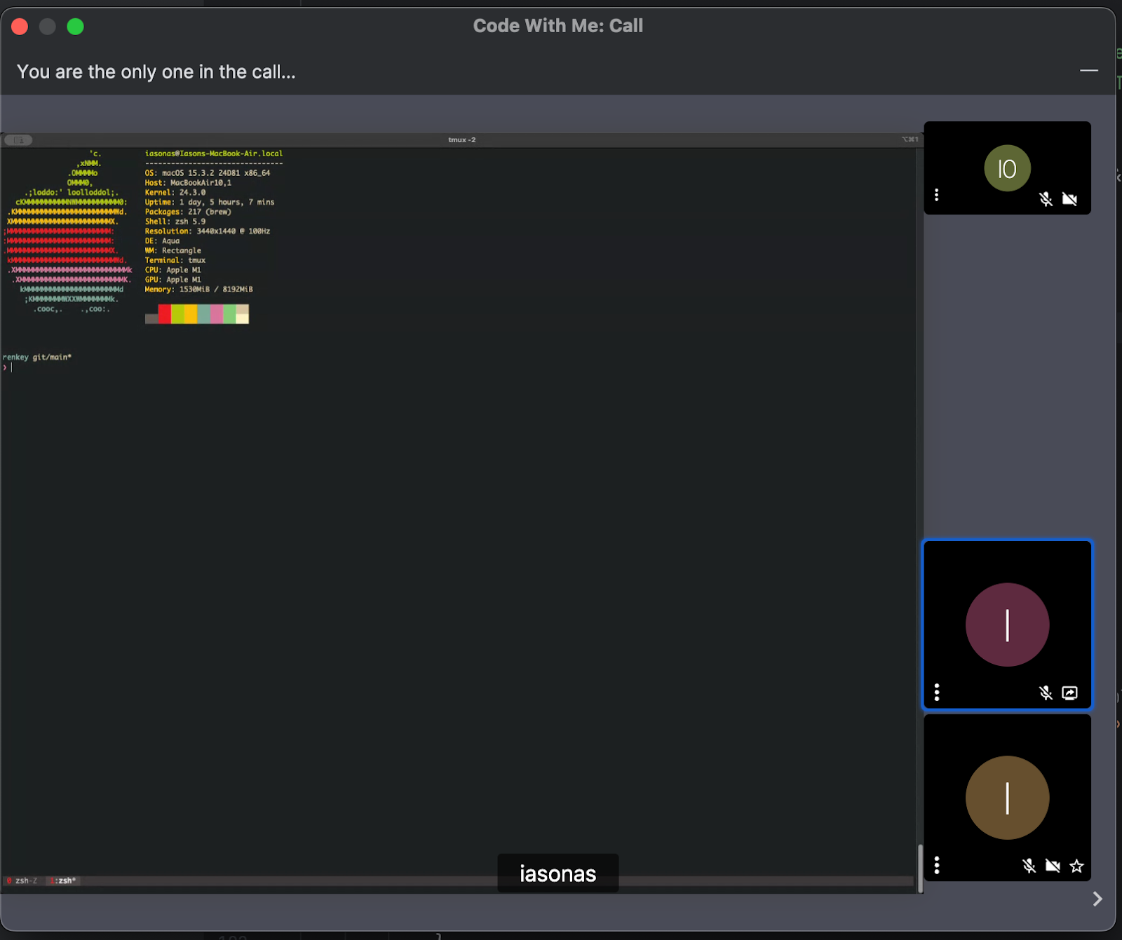 Screen sharing in JetBrains Code With Me