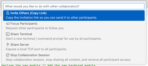 Live Share control panel for remote pair programming