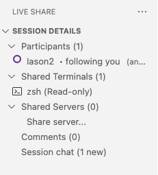 Live Share tab for remote pair programming