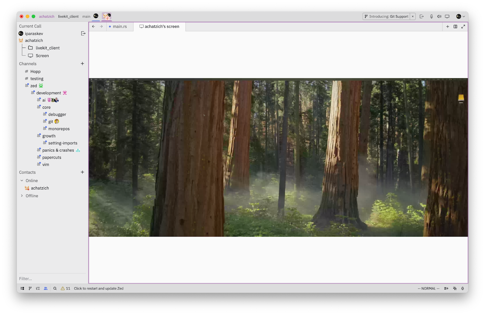 Screen sharing in Zed remote pair programming