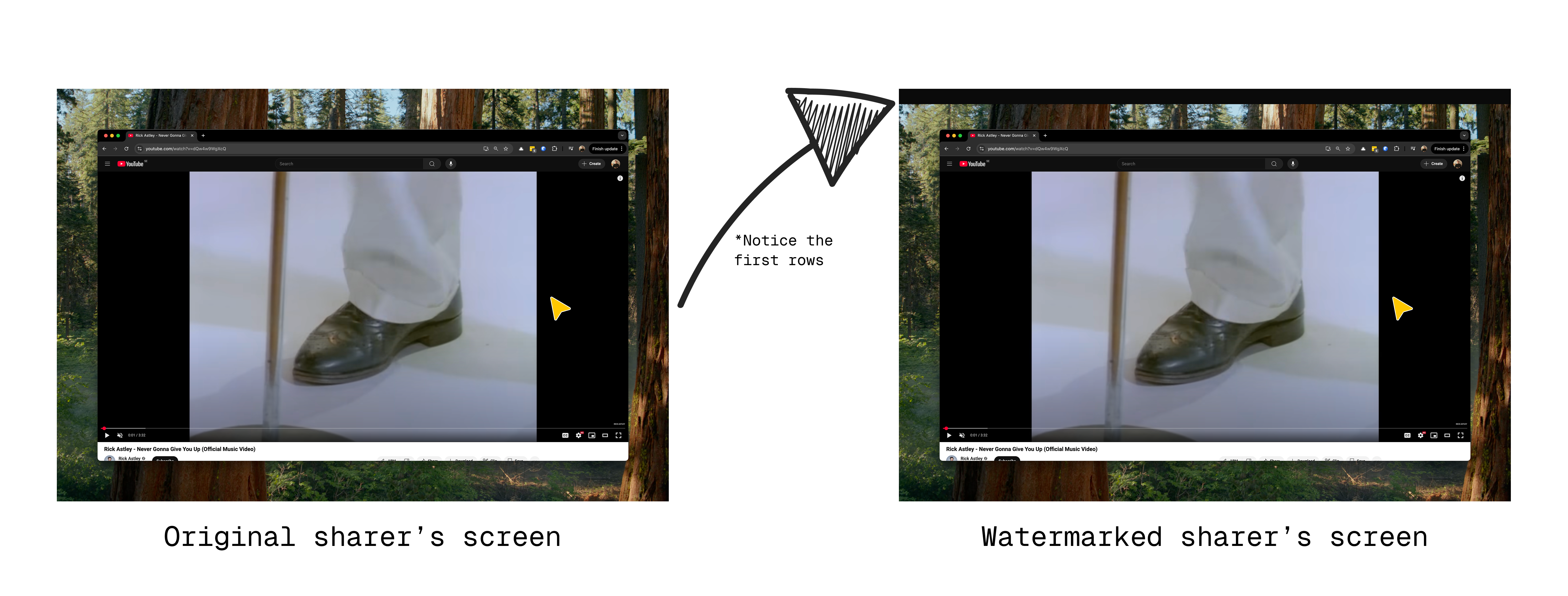 Watermarked frame